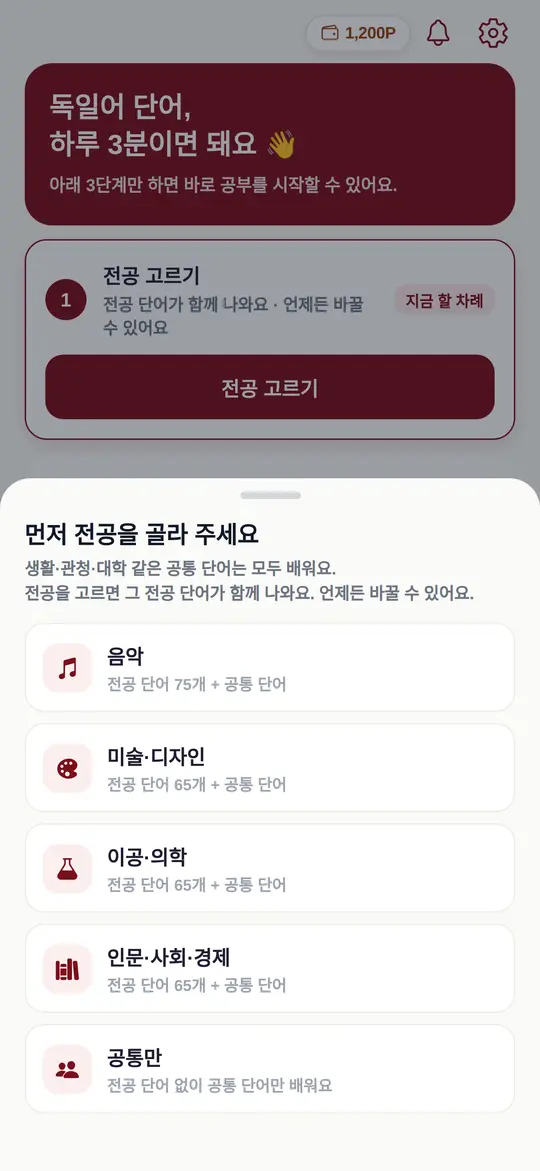 독일어 학습 — 전공 고르기